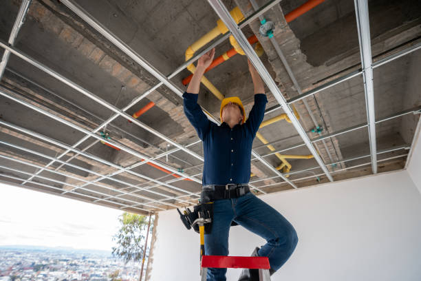 Best Affordable Plumbing Services  in Richmond, MN