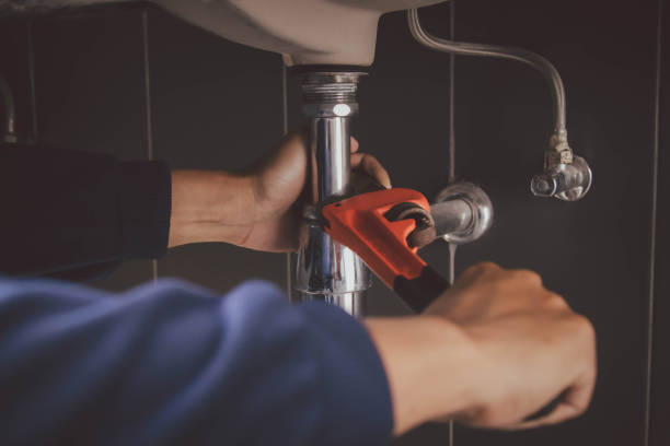 Best Local Plumber Services  in Richmond, MN
